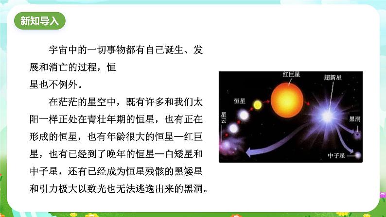 华师大版科学九下 1.3《恒星的一生》课件第3页