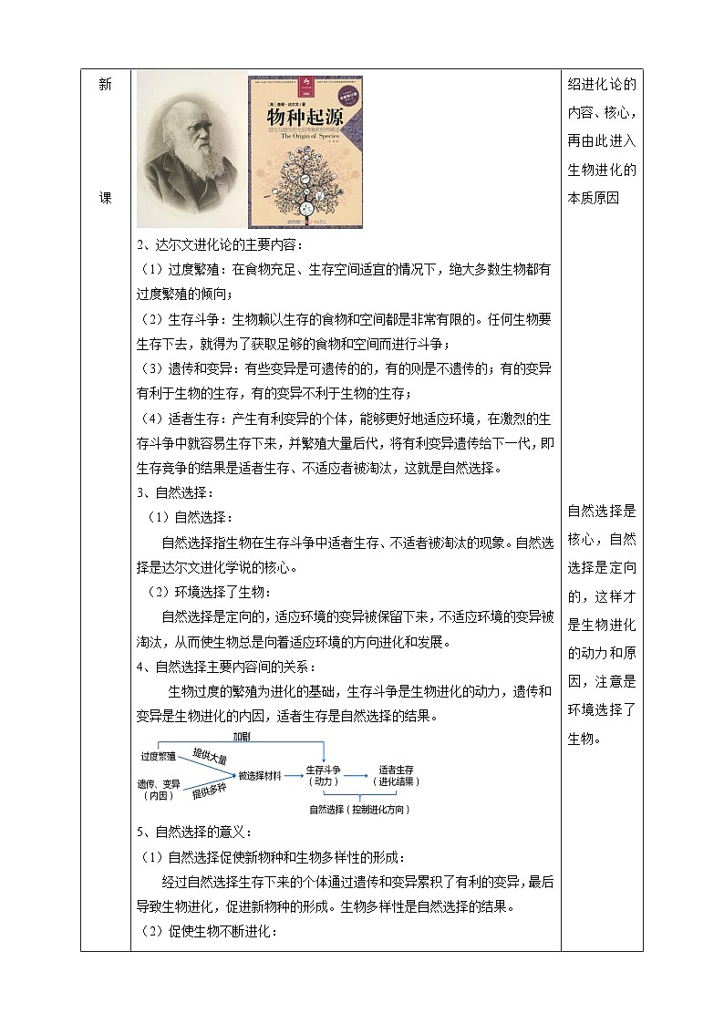 华师大版科学九下 2.3《生物进化》教案第2页