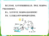 华师大版科学九下 3.2《自然界中的碳循环和氧循环》课件+教案+学案+素材