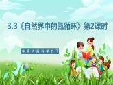 华师大版科学九下 3.3《自然界中的氮循环》第2课时 课件+教案+学案+素材