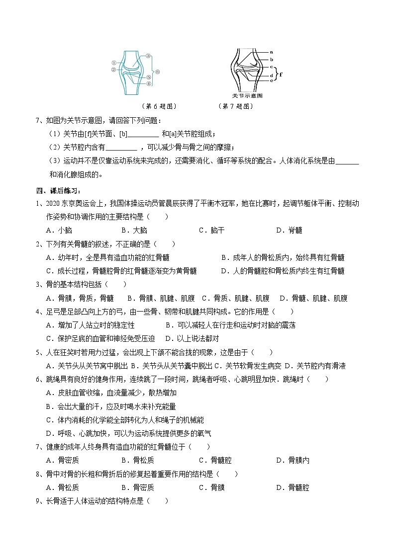 华师大版科学九下 4.2《运动与健康》第1课时 学案第3页