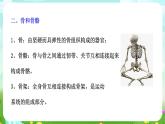 华师大版科学九下 4.2《运动与健康》第1课时 课件+教案+学案+素材