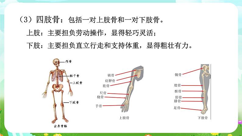 华师大版科学九下 4.2《运动与健康》第1课时 课件第8页