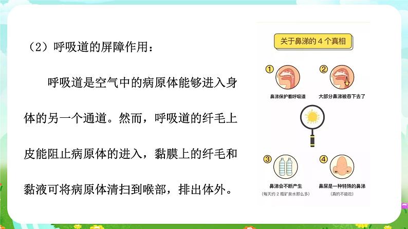 华师大版科学九下 4.3《免疫与健康》第1课时 课件第6页