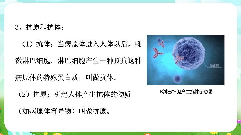 华师大版科学九下 4.3《免疫与健康》第2课时 课件第5页