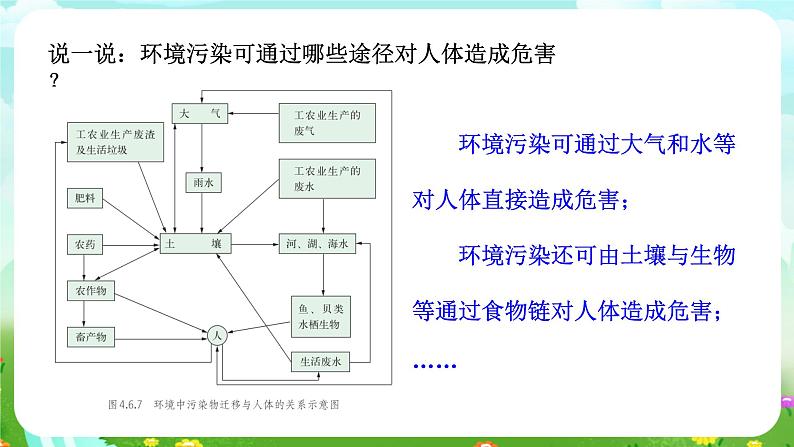 华师大版科学九下 4.6《环境与健康》第2课时 课件第8页