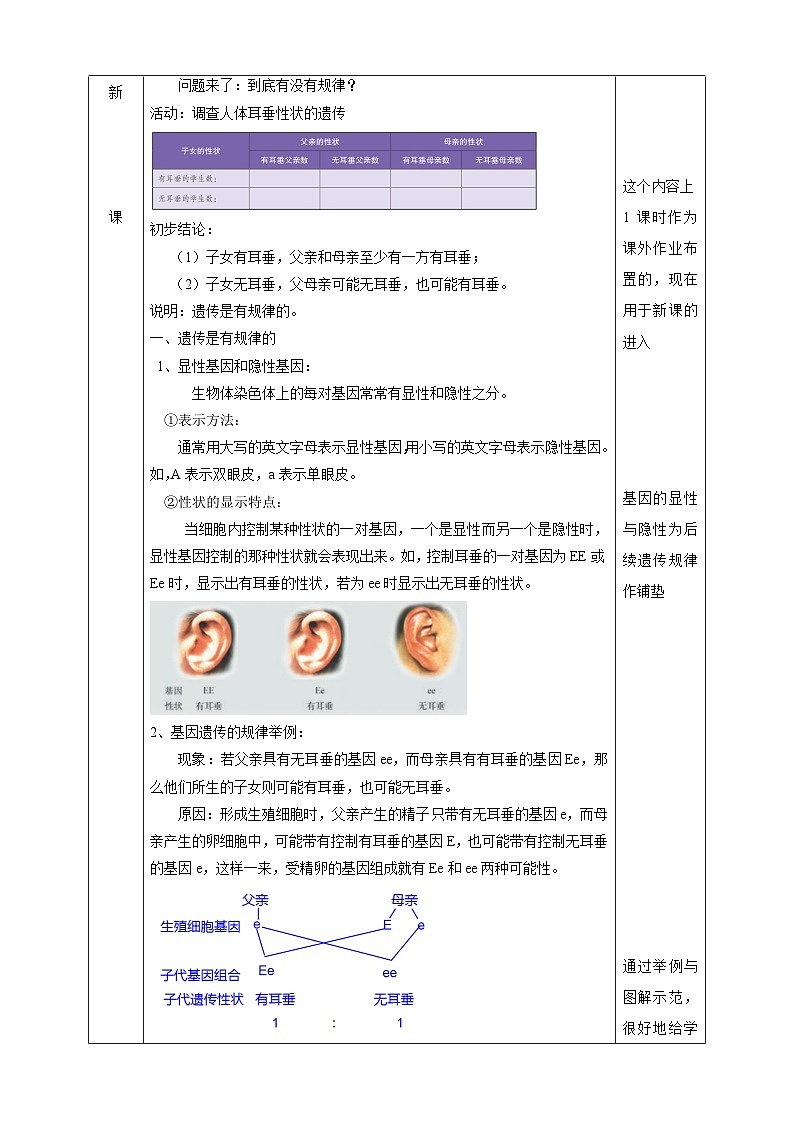 华师大版科学九下 5.1《生物的遗传》第2课时 教案第2页