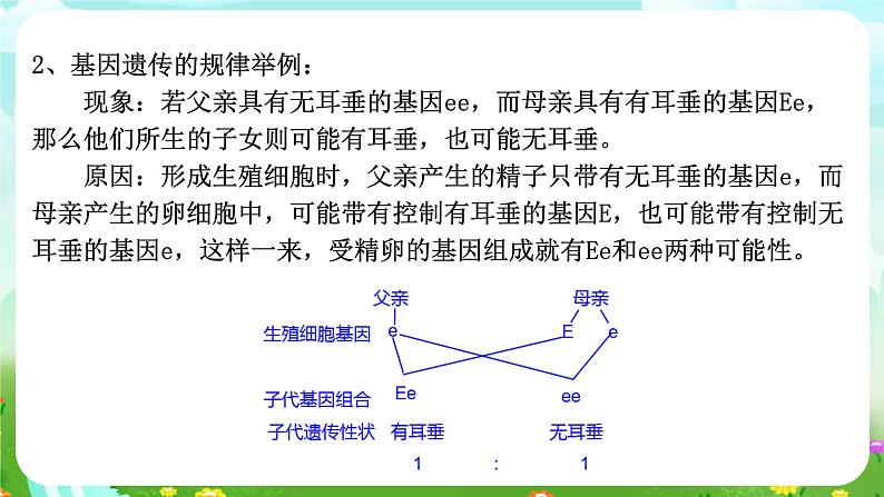 华师大版科学九下 5.1《生物的遗传》第2课时 课件第6页