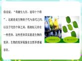 华师大版科学九下 5.2《生物的变异》第1课时 课件+教案+学案+素材