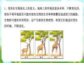 华师大版科学九下 5.2《生物的变异》第2课时 课件+教案+学案+素材