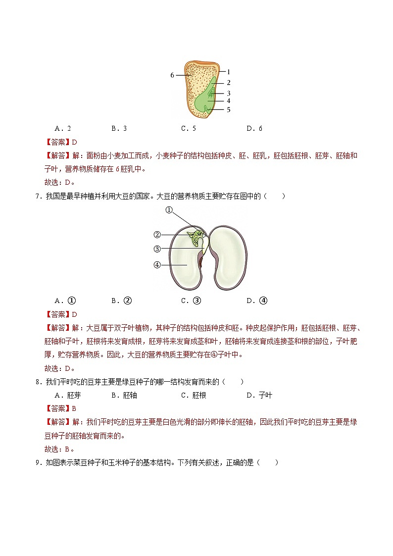 1.3 植物的生殖与发育（第2课时）（练习）（含答案解析）第3页