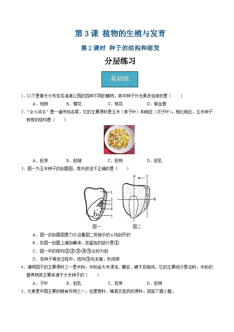 1.3 植物的生殖与发育（第2课时）（练习）第1页