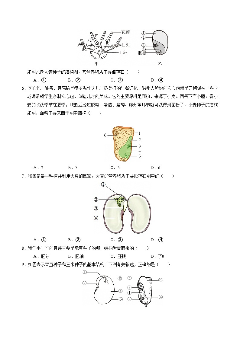 1.3 植物的生殖与发育（第2课时）（练习）第2页