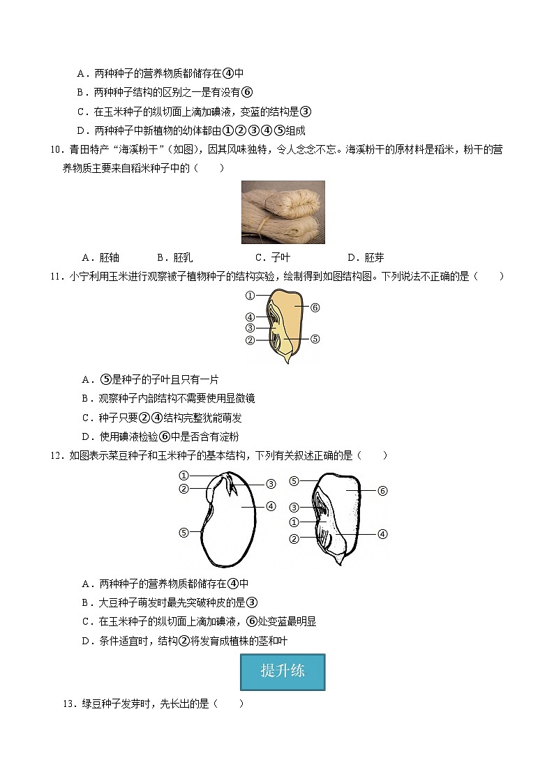 1.3 植物的生殖与发育（第2课时）（练习）第3页