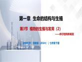 1.3 植物的生殖与发育（第2课时）-初中科学七年级下册 同步教学课件+同步练习（浙教版2024）