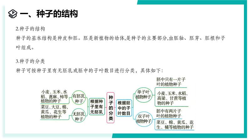 1.3 植物的生殖与发育（第2课时）-初中科学七年级下册 同步教学课件（浙教版2024）第8页