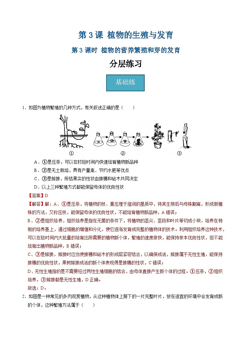 1.3 植物的生殖与发育（第3课时）（练习）（含答案解析）第1页