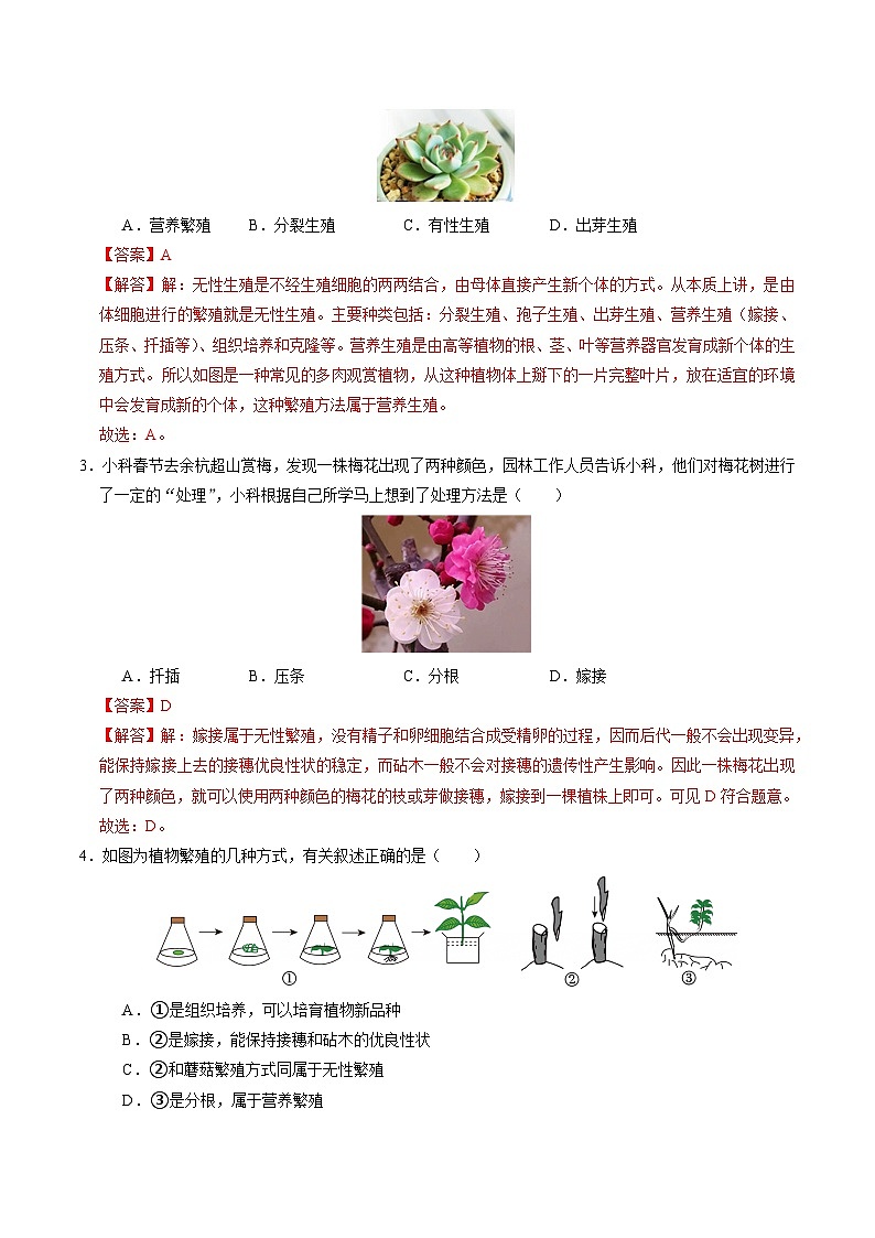1.3 植物的生殖与发育（第3课时）（练习）（含答案解析）第2页