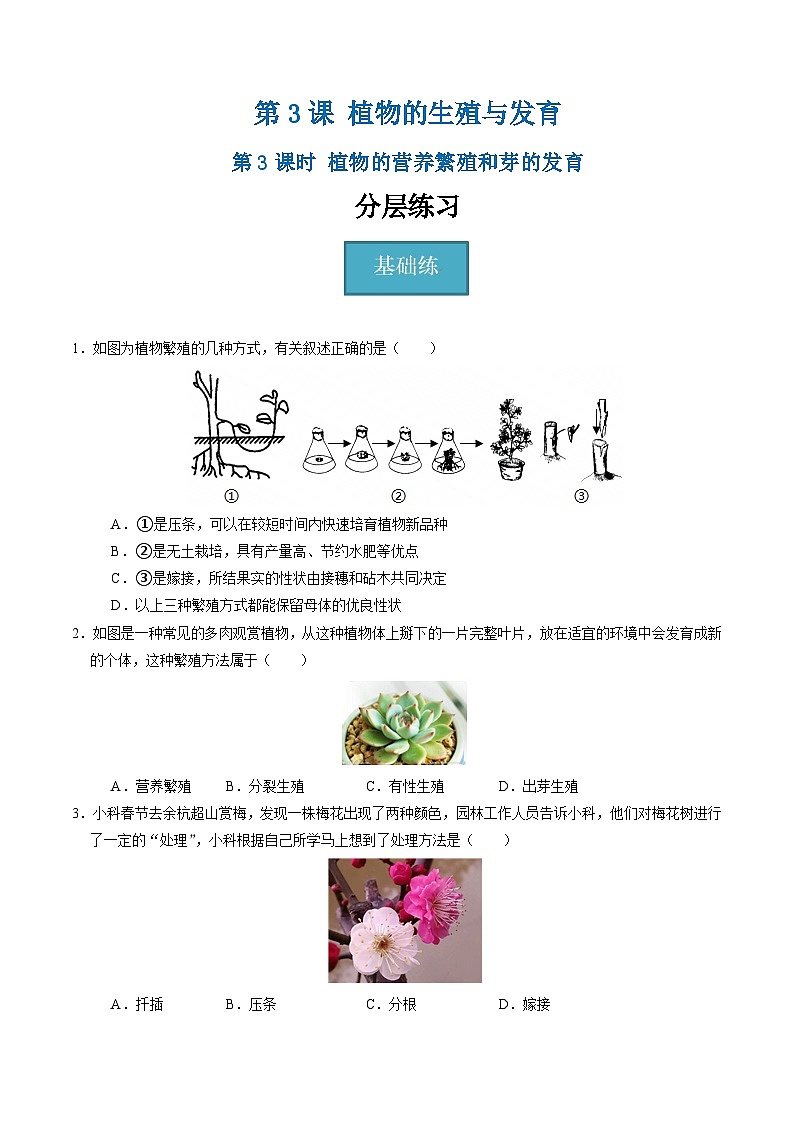 1.3 植物的生殖与发育（第3课时）（练习）第1页