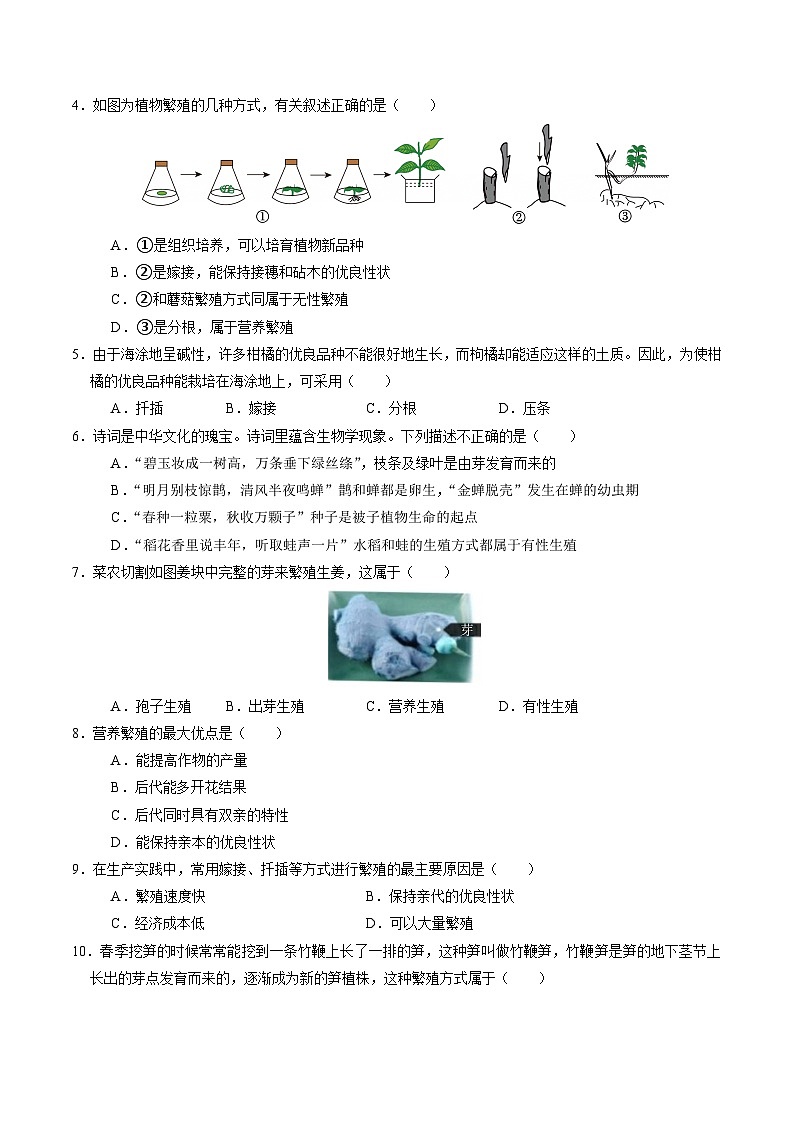 1.3 植物的生殖与发育（第3课时）（练习）第2页