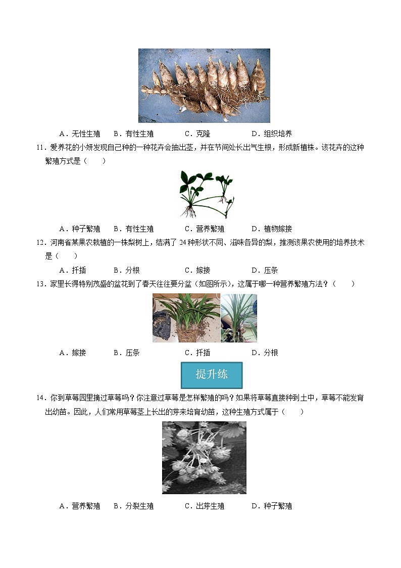 1.3 植物的生殖与发育（第3课时）（练习）第3页