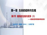 1.3 植物的生殖与发育（第3课时）-初中科学七年级下册 同步教学课件+同步练习（浙教版2024）