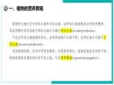 1.3 植物的生殖与发育（第3课时）-初中科学七年级下册 同步教学课件+同步练习（浙教版2024）