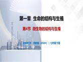 1.4 微生物的结构与生殖-初中科学七年级下册 同步教学课件+同步练习（浙教版2024）