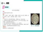 1.4 微生物的结构与生殖-初中科学七年级下册 同步教学课件+同步练习（浙教版2024）