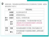 1.4 微生物的结构与生殖-初中科学七年级下册 同步教学课件+同步练习（浙教版2024）