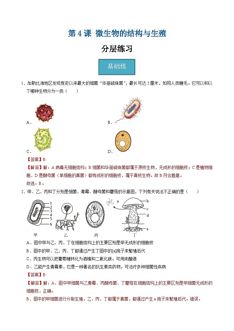 1.4 微生物的结构与生殖（练习）（含答案解析）第1页