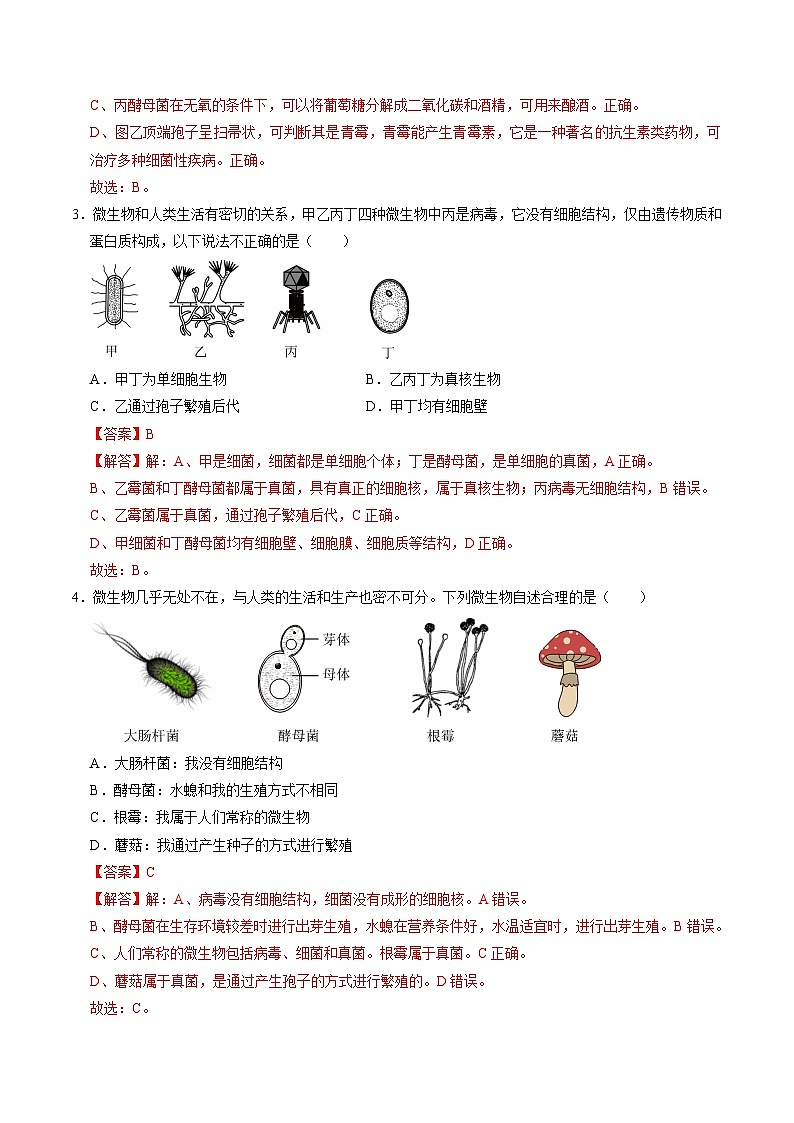 1.4 微生物的结构与生殖（练习）（含答案解析）第2页