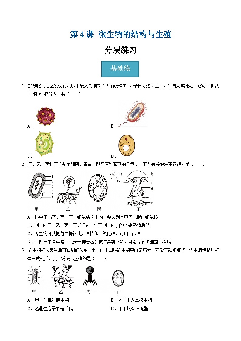 1.4 微生物的结构与生殖（练习）第1页