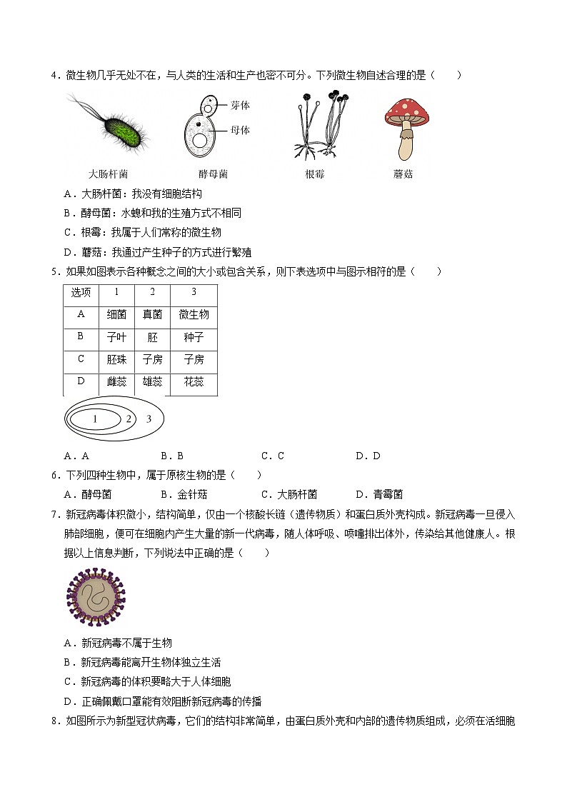1.4 微生物的结构与生殖（练习）第2页