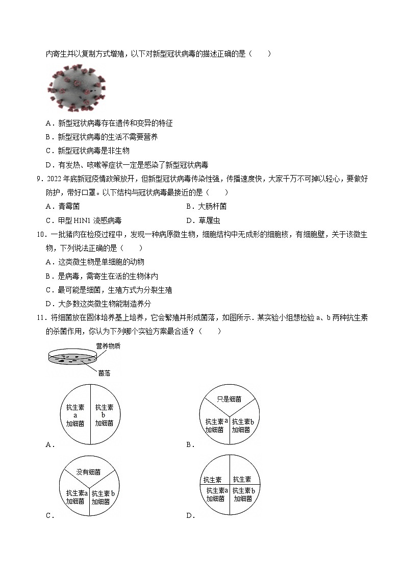 1.4 微生物的结构与生殖（练习）第3页