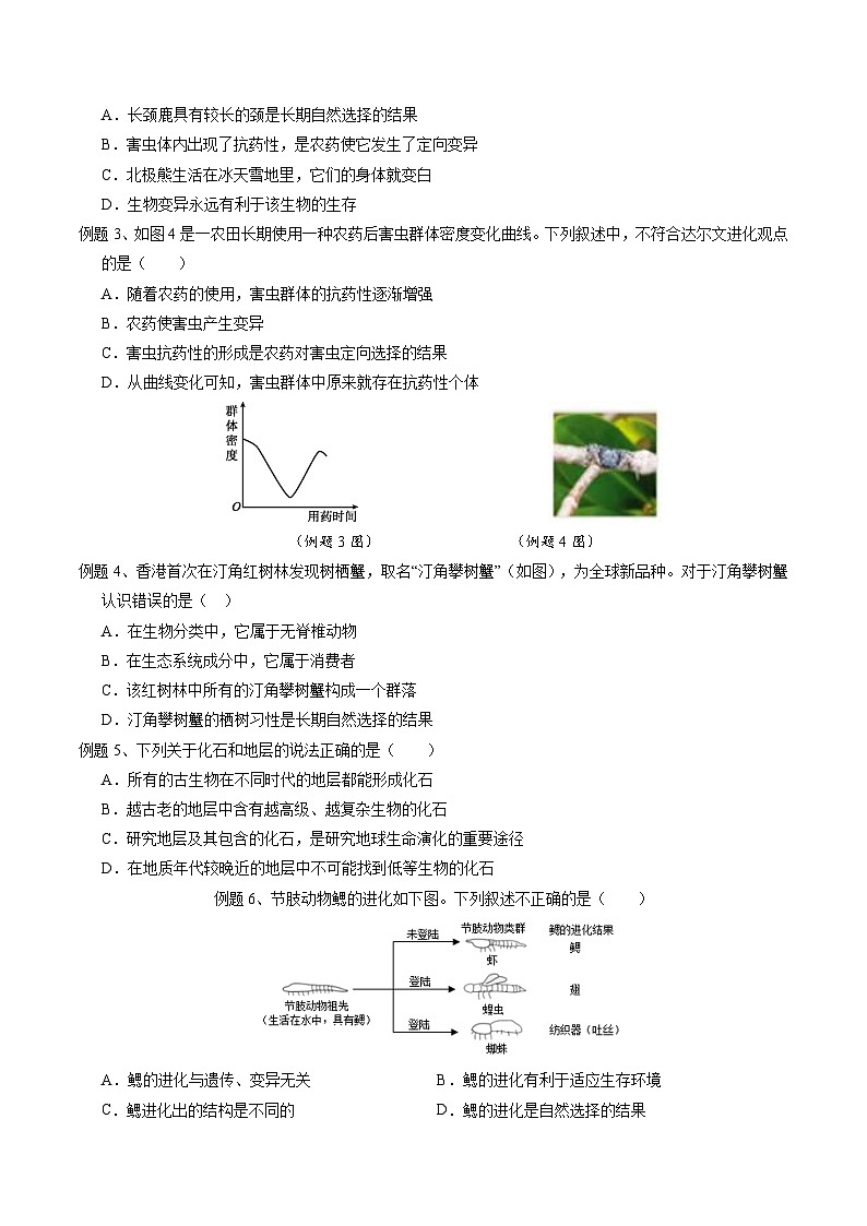 浙教版科学九下 1.4《生物的进化》第1课时 学案第2页