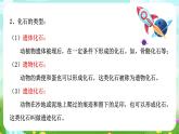 浙教版科学九下 1.4《生物的进化》第1课时 课件+教案+学案+素材