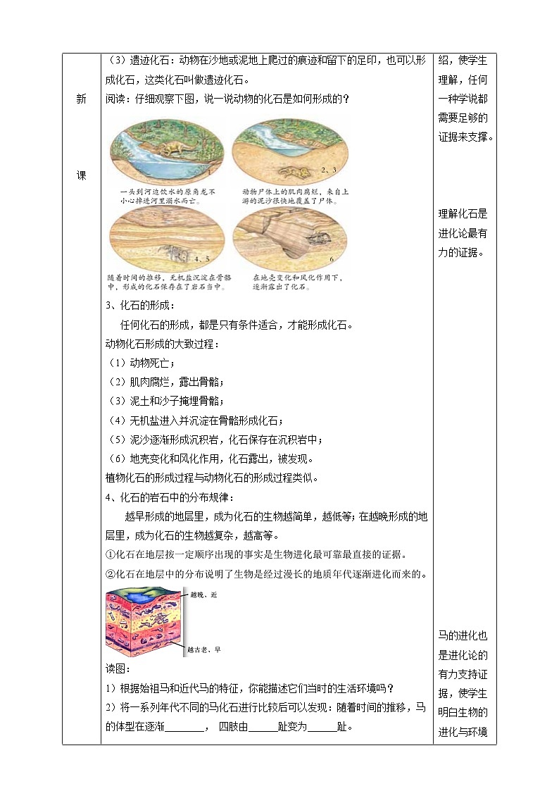 浙教版科学九下 1.4《生物的进化》第1课时 教案第2页