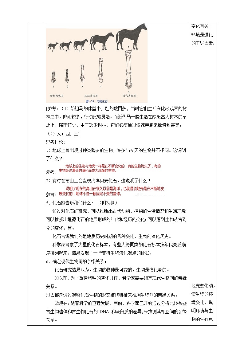 浙教版科学九下 1.4《生物的进化》第1课时 教案第3页