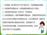 浙教版科学九下 1.4《生物的进化》第2课时 课件+教案+学案+素材
