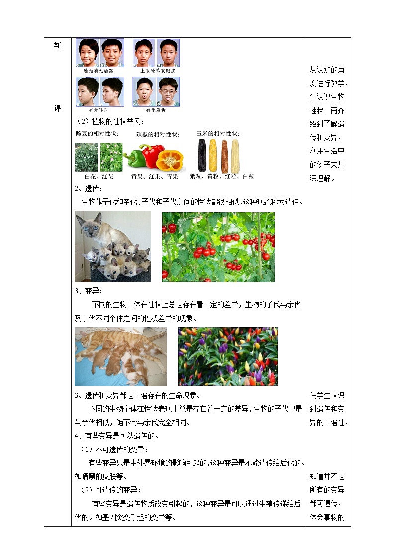 浙教版科学九下 1.5《遗传和进化》第1课时 教案第2页