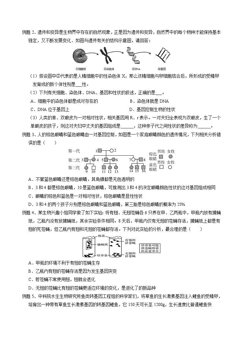 浙教版科学九下 1.5《遗传和进化》第2课时 学案第2页