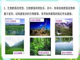 浙教版科学九下 2.3《生物群落》课件+教案+学案+素材