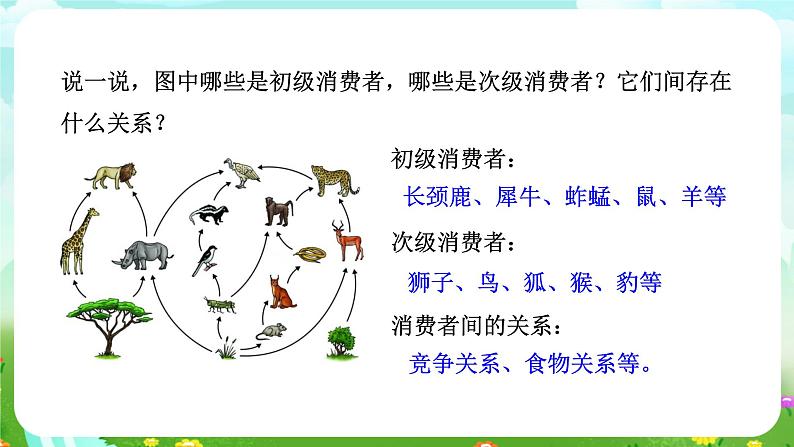 浙教版科学九下 2.4《生态系统的结构和功能》第2课时 课件第4页