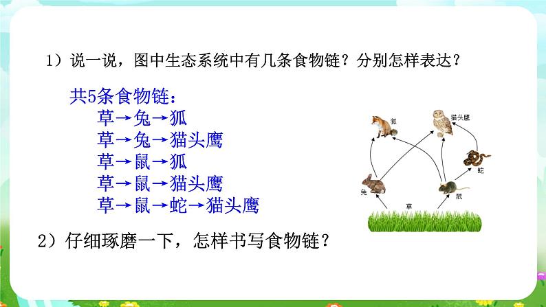 浙教版科学九下 2.4《生态系统的结构和功能》第2课时 课件第7页