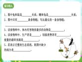 浙教版科学九下 2.5《生态系统的稳定性》课件+教案+学案+素材