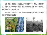 浙教版科学九下 2.5《生态系统的稳定性》课件+教案+学案+素材
