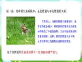 浙教版科学九下 2.5《生态系统的稳定性》课件+教案+学案+素材