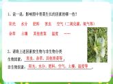 浙教版科學九下 2.1《生物與環(huán)境》課件+教案+學案+素材