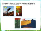 浙教版科學九下 2.1《生物與環(huán)境》課件+教案+學案+素材